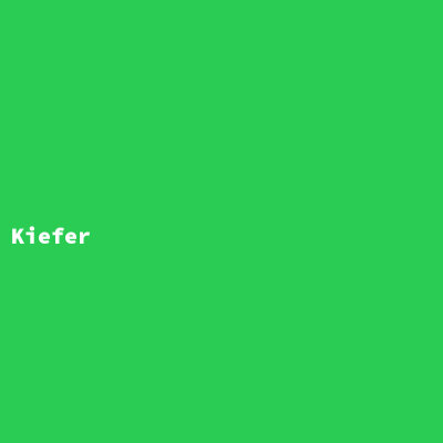 Kiefer